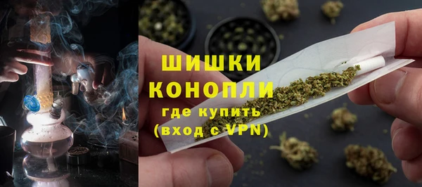 ПСИЛОЦИБИНОВЫЕ ГРИБЫ Богданович