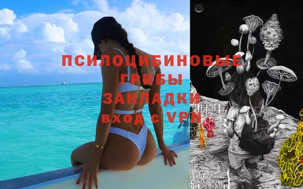 ПСИЛОЦИБИНОВЫЕ ГРИБЫ Богданович