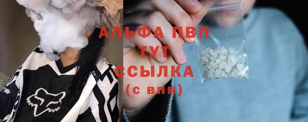 спиды Новокубанск