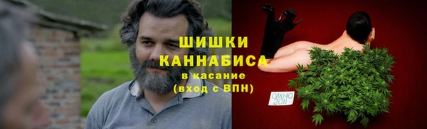 ПСИЛОЦИБИНОВЫЕ ГРИБЫ Богданович