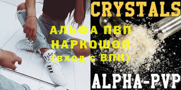 амф Новозыбков