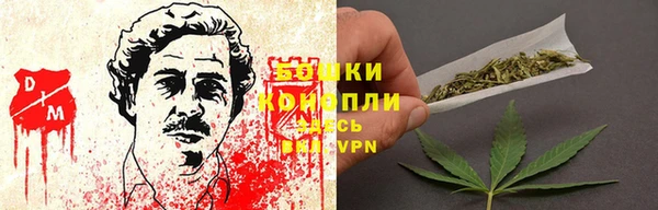 амф Новозыбков